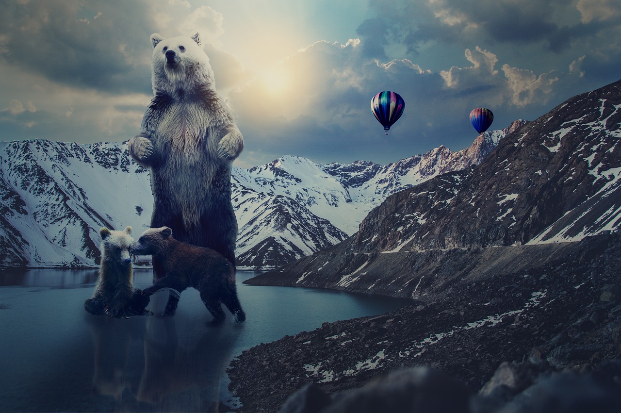 帝王雷最新版本下載，探索與體驗(yàn)之旅