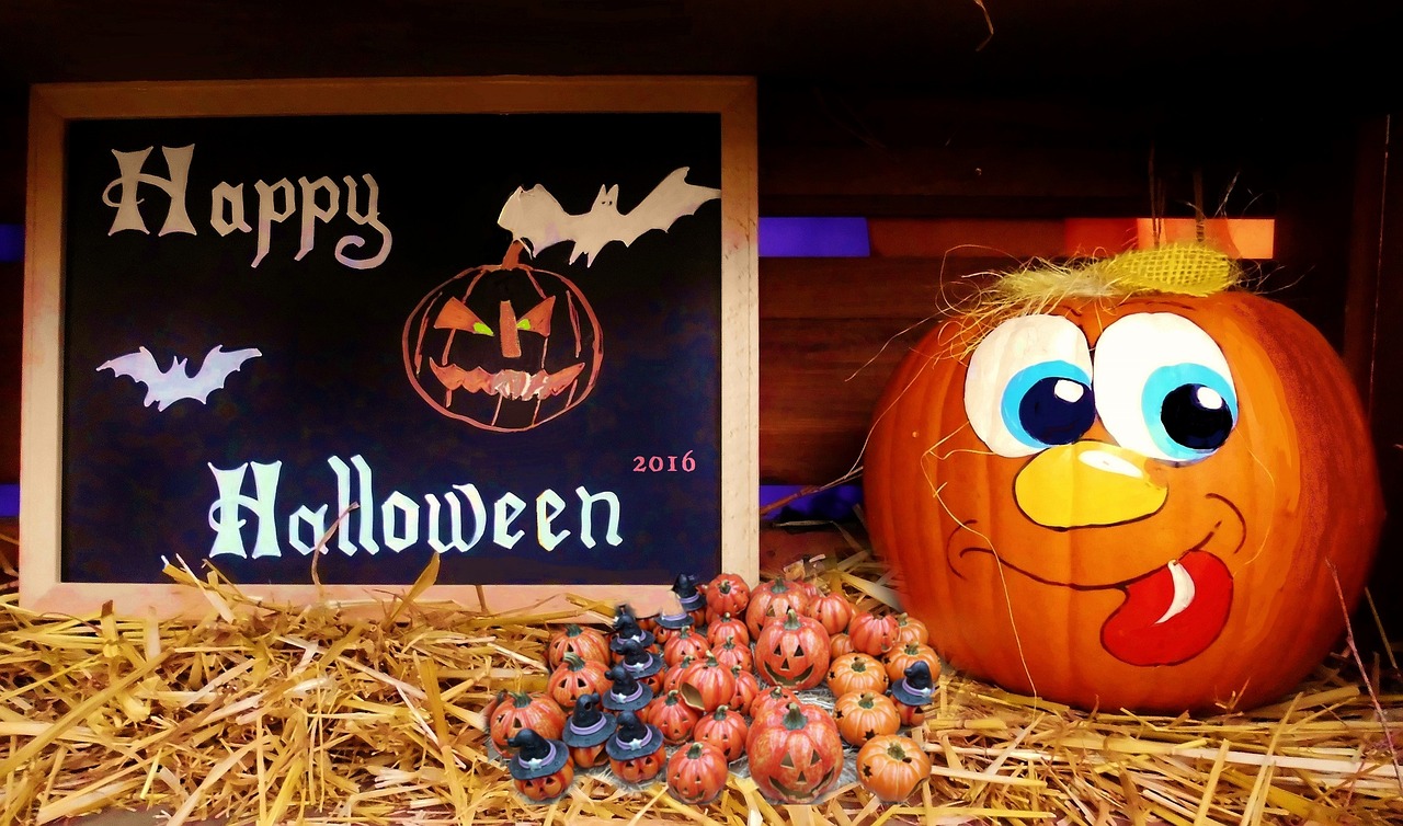 龍潤灣美最新動態(tài)揭秘，揭開這片美景的神秘面紗