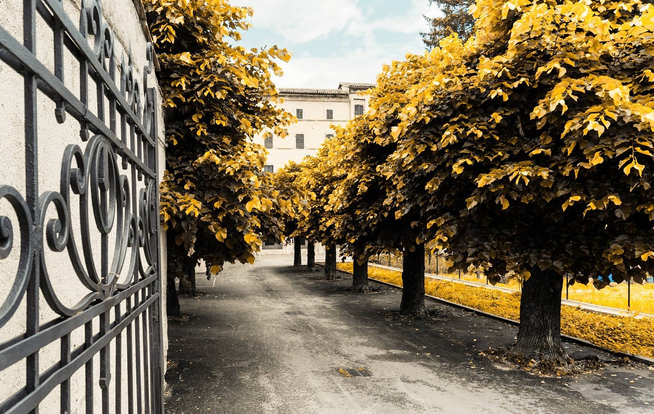 葉榭大型社區(qū)打造現(xiàn)代化新城，宜居宜業(yè)最新進(jìn)展消息