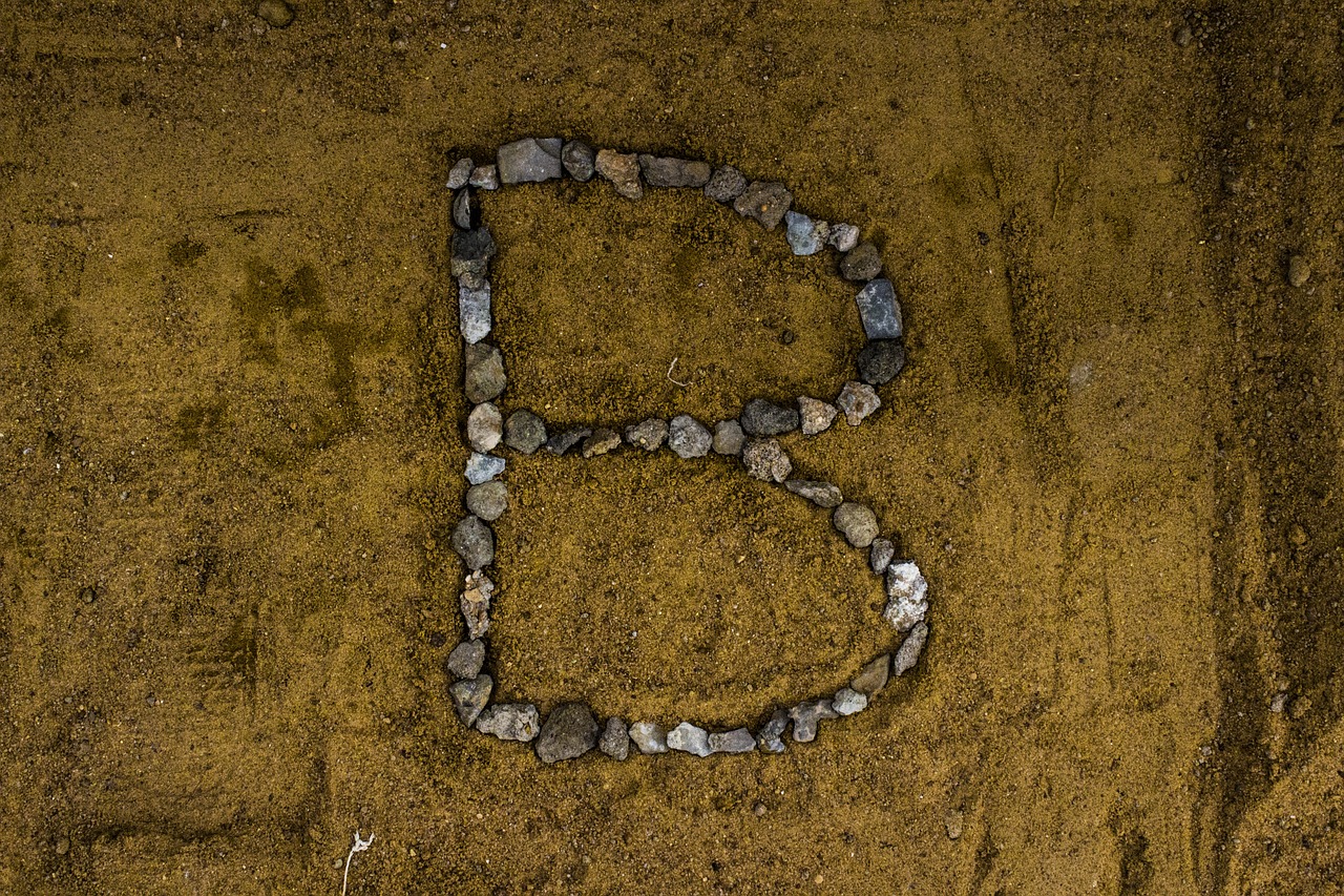 2025年1月 第376頁