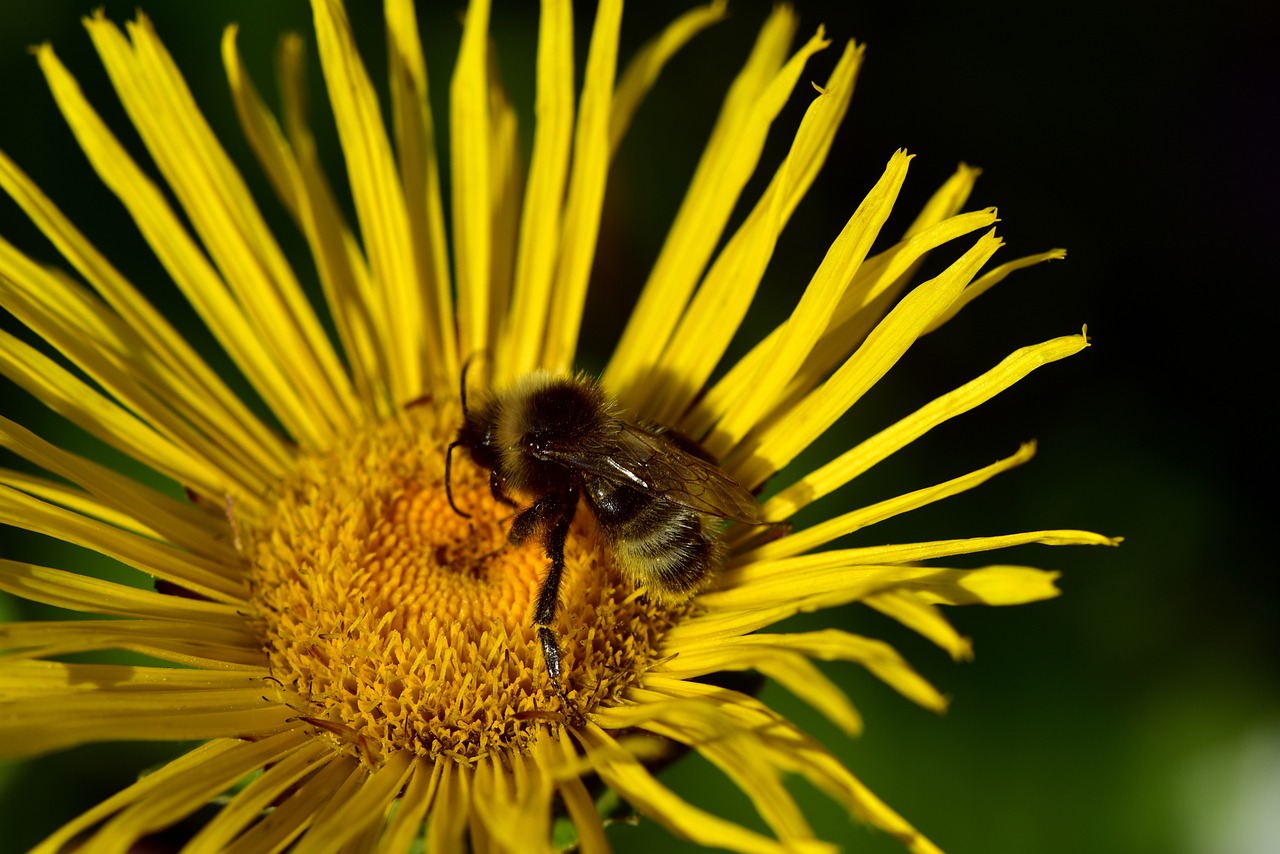 太原城市改造最新動態(tài)，煥新顏，發(fā)展提速