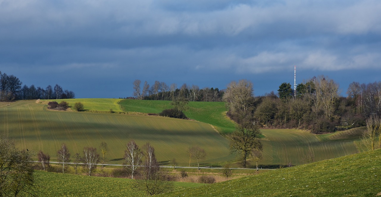 漳州陽(yáng)光美地最新動(dòng)態(tài)更新，最新消息匯總