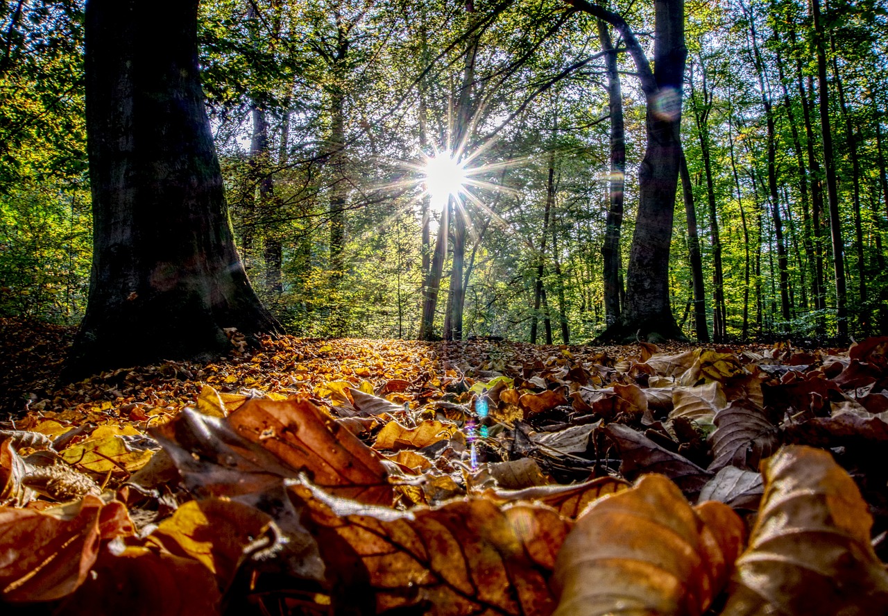 古劍奇譚三最新動態(tài)揭秘，新內容、玩法與體驗全解析