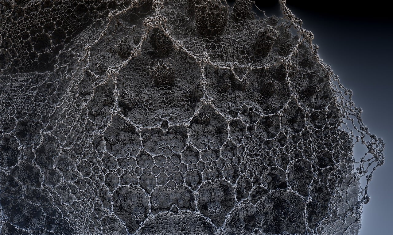 遼寧隋顯利最新動(dòng)態(tài)，傳奇人物的嶄新篇章