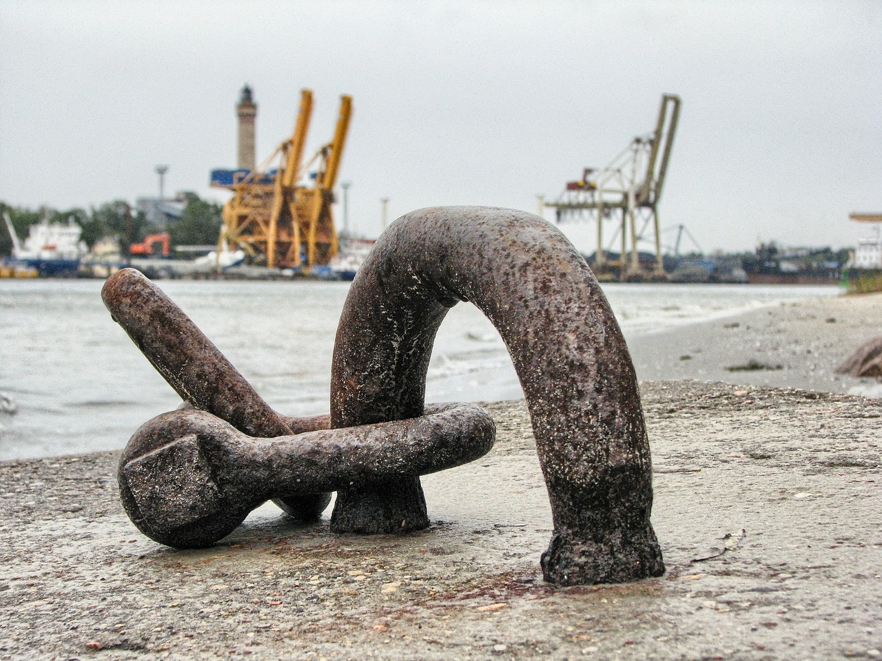 大連外經(jīng)貿(mào)最新消息概覽，最新動(dòng)態(tài)與發(fā)展分析