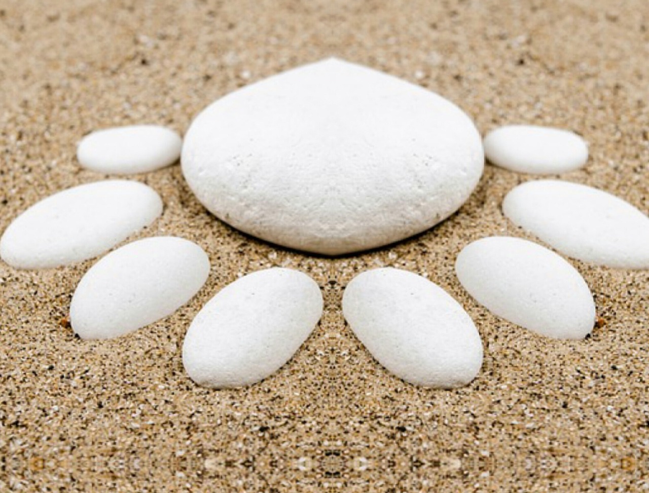 本兮官網(wǎng)最新動(dòng)態(tài)，音樂之旅全新啟程