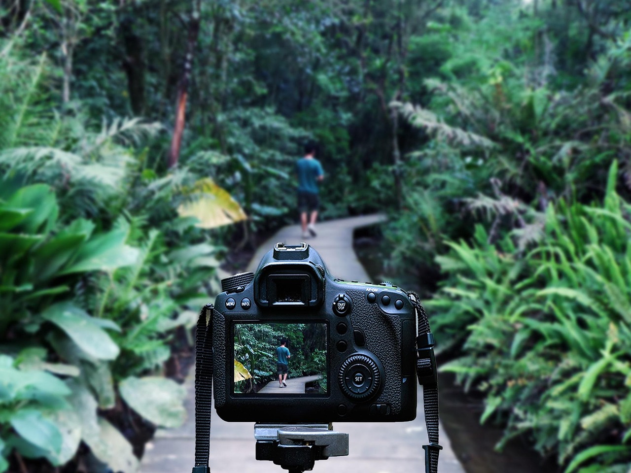 灌南高鐵站最新消息深度解析，最新動態(tài)與進展