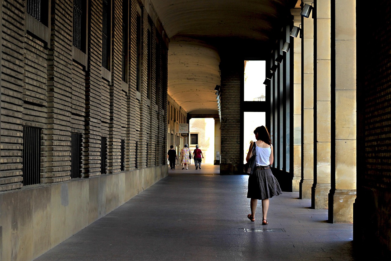 石家莊疫情最新動態(tài)，堅決遏制擴散，全力守護(hù)人民健康