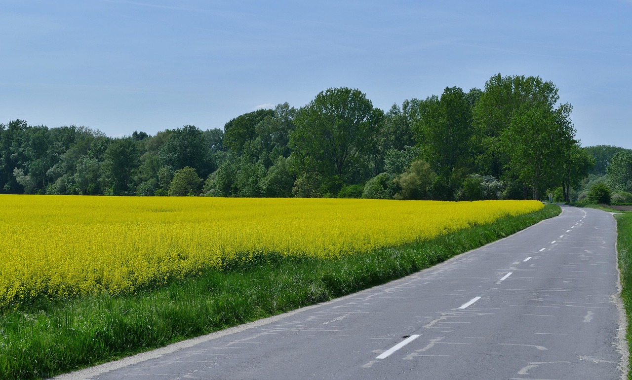 蕪黃旌德段建設(shè)進(jìn)展及未來展望，最新消息揭秘
