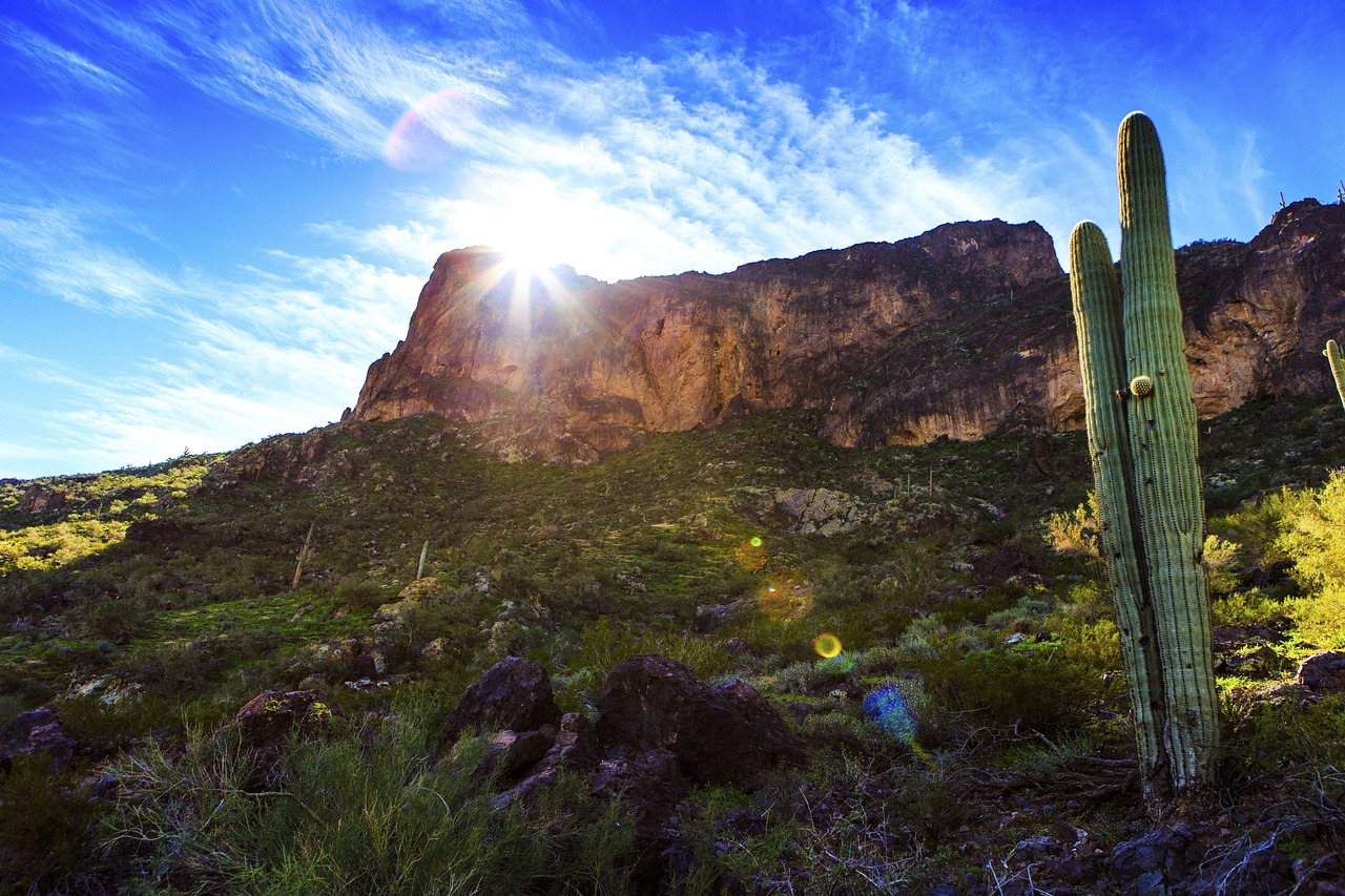 蘭州富士康最新動(dòng)態(tài)，發(fā)展、影響與未來展望全面解讀
