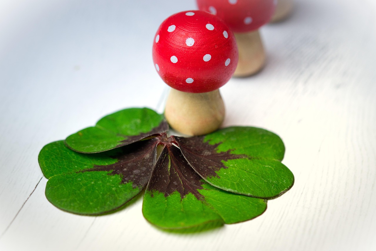 遂平城南新區(qū)蓬勃發(fā)展揭秘，最新動態(tài)與未來展望