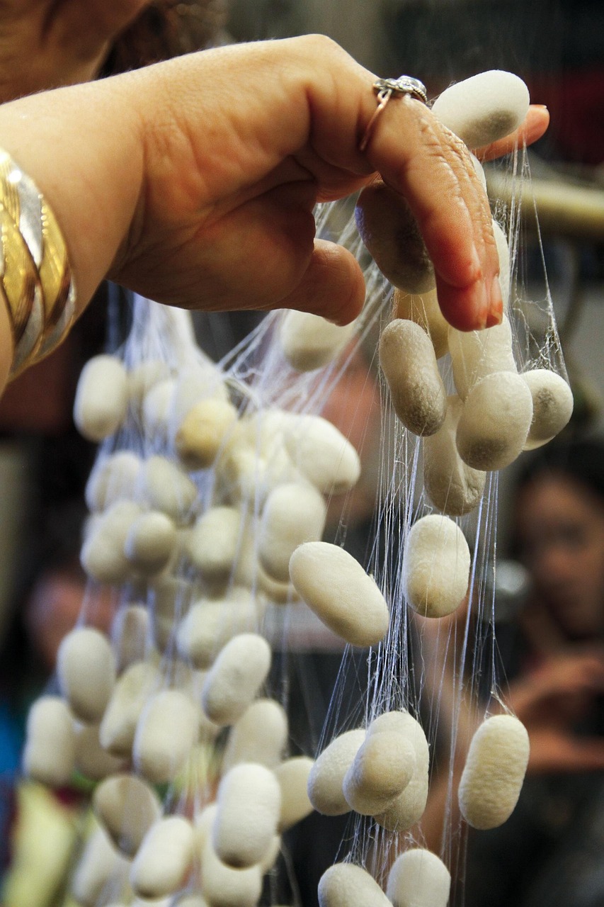 2025年2月 第281頁