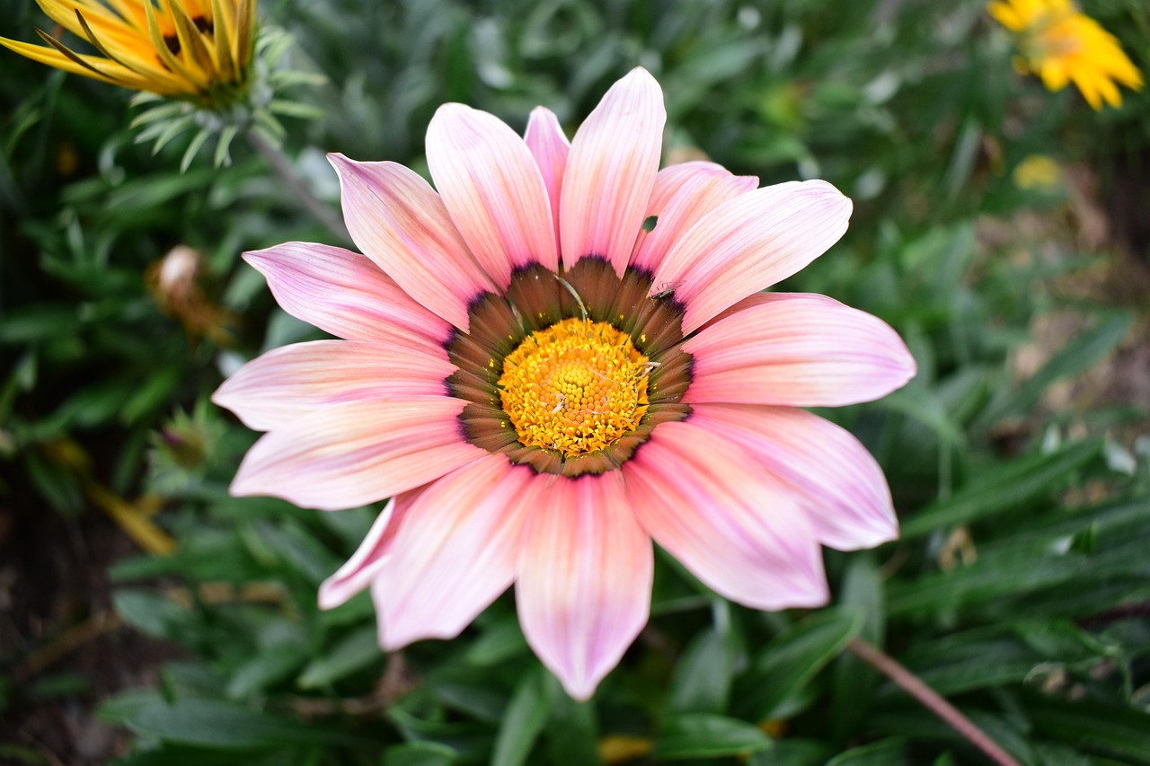 2025年2月 第254頁