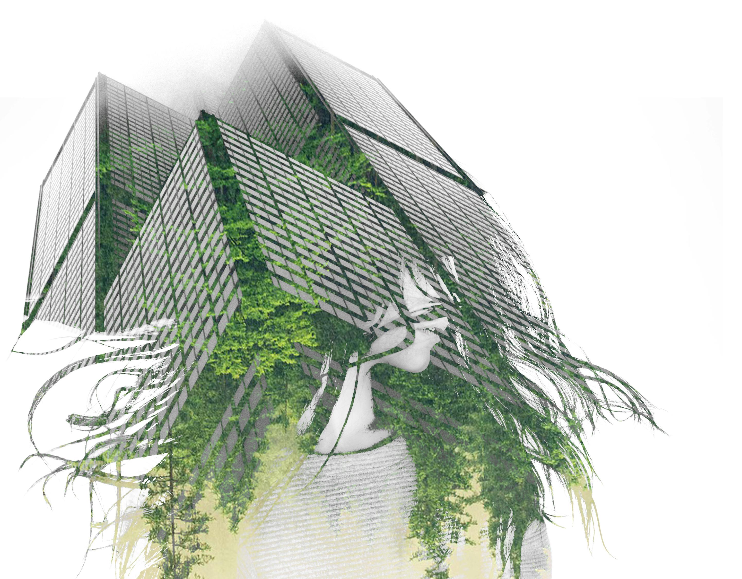 楊冪街拍生活照曝光，時尚潮流風(fēng)向標(biāo)的新動態(tài)