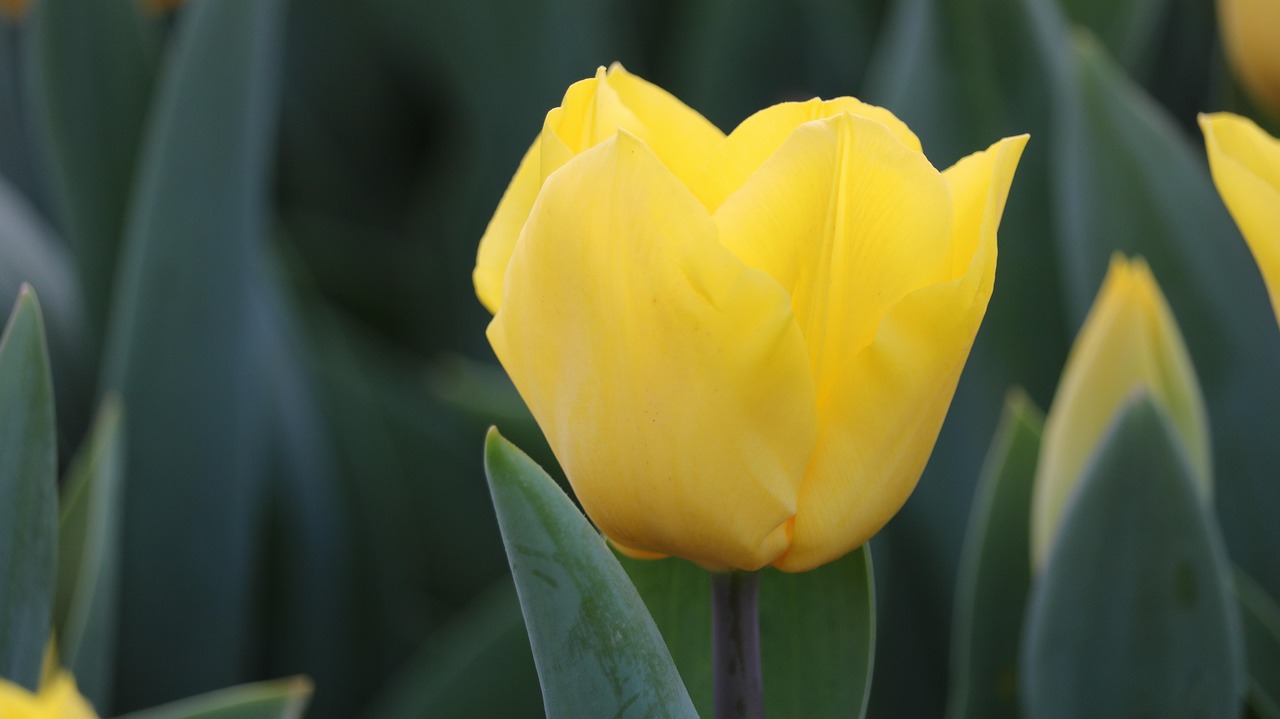 百色百投集團(tuán)最新招聘動(dòng)態(tài)，戰(zhàn)略背后的意義與崗位更新