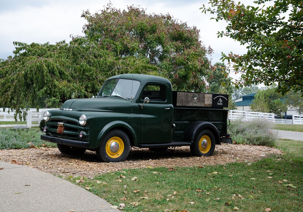 大興區(qū)蘆東路最新動態(tài)，發(fā)展進(jìn)展與未來展望