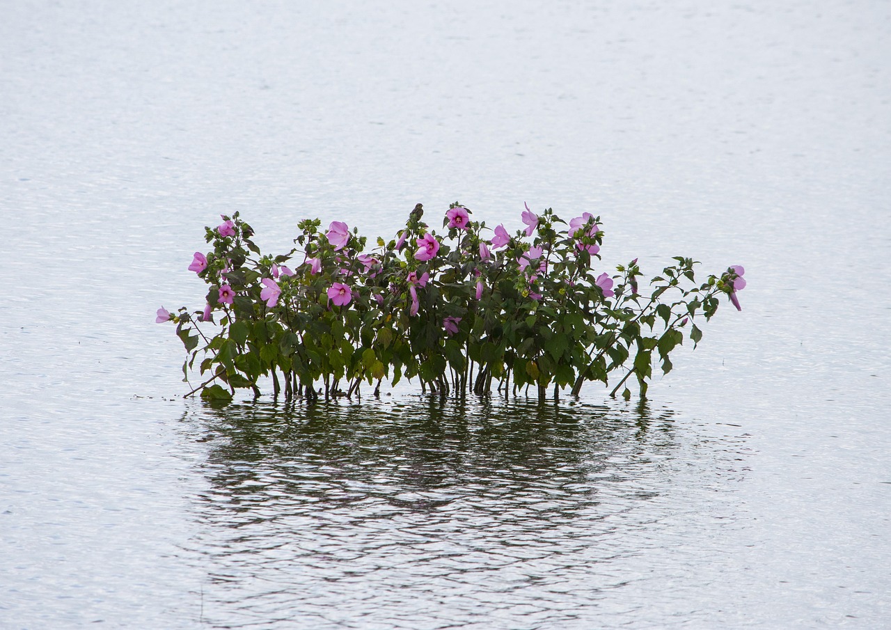 2025年2月 第23頁(yè)