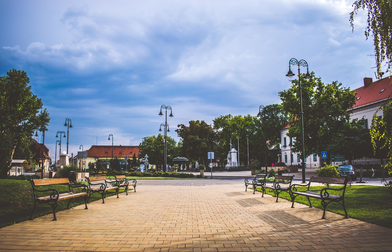 江夏中央公園最新進展，城市綠色心臟蓬勃生長