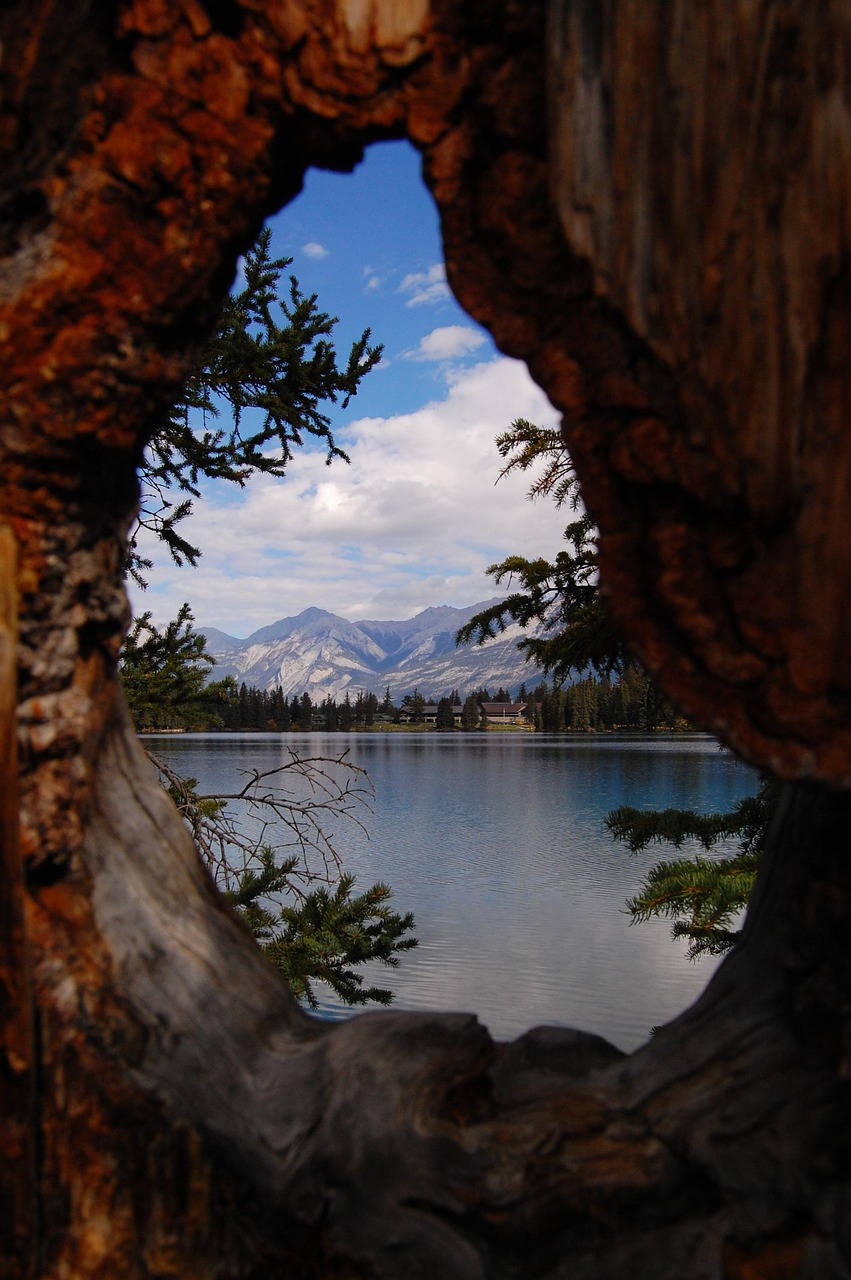 馬蓉最新動態(tài)與反思，風(fēng)波中心的最新消息聚焦點