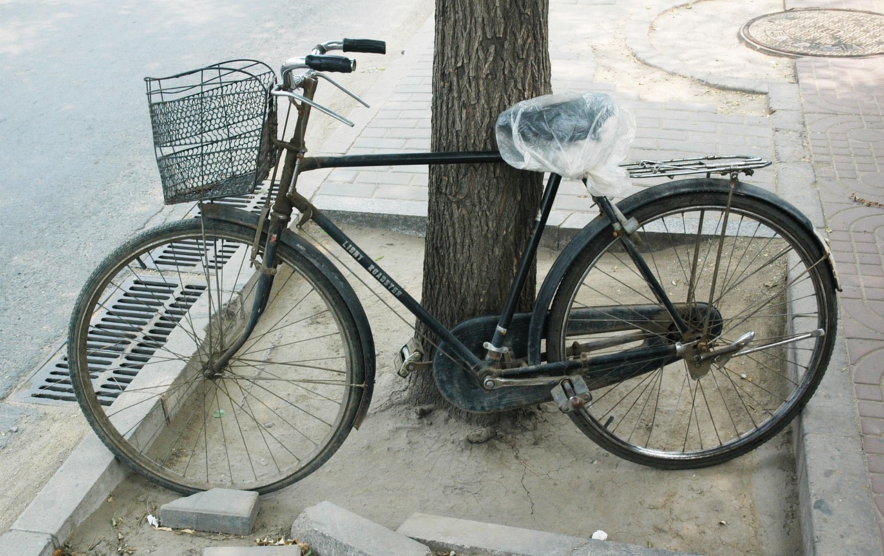 云商之家最新動態(tài)，張健引領(lǐng)變革之路