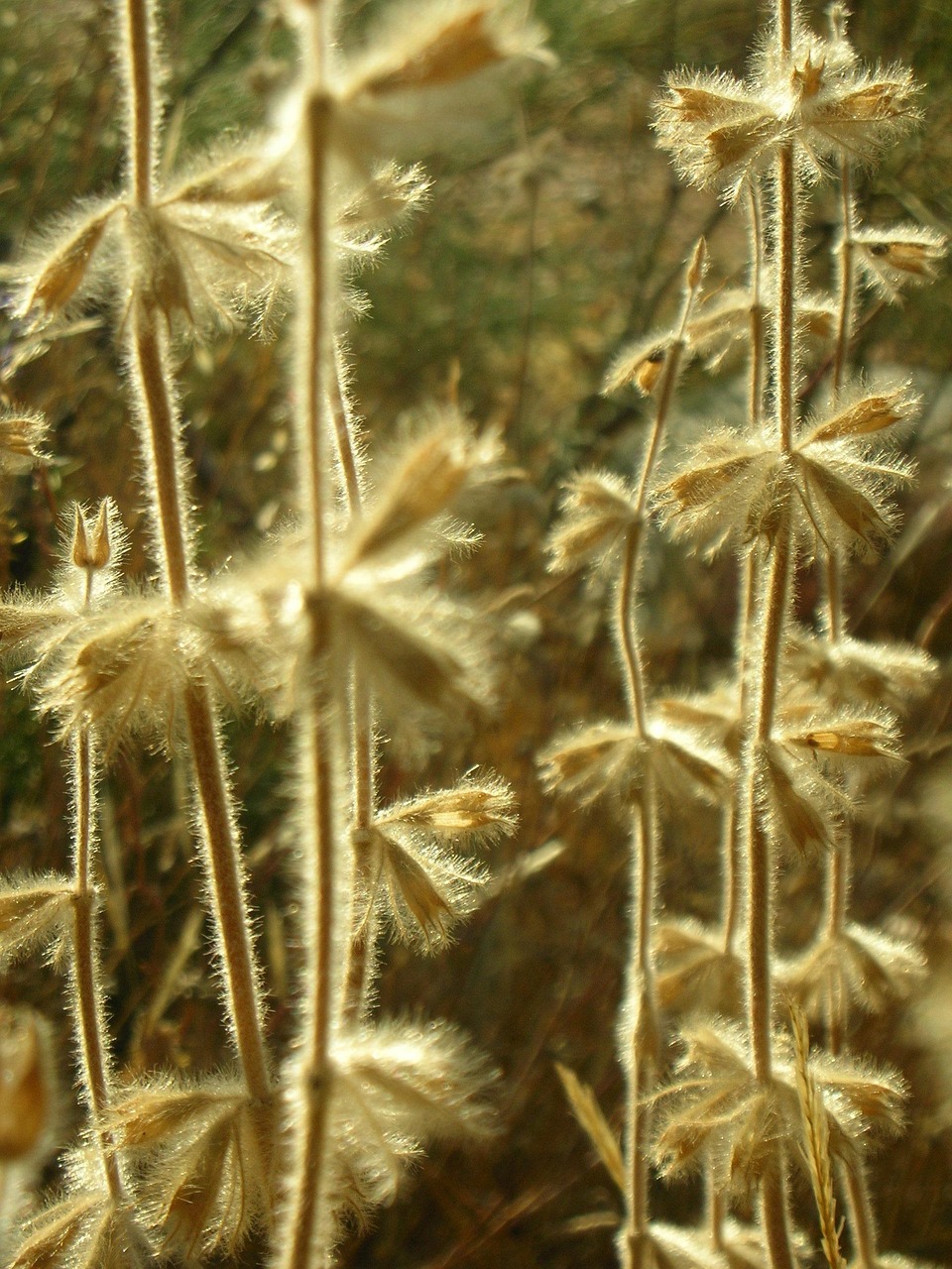 今日陽光M1最新動態(tài)，開啟電動智能出行新篇章