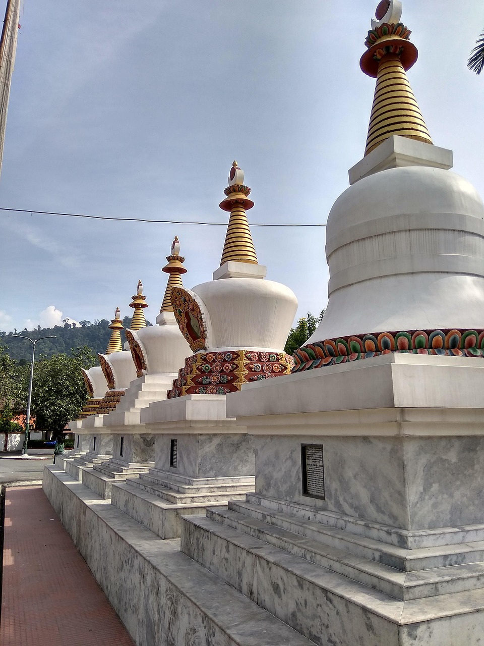 美國(guó)失蹤女生最新動(dòng)態(tài)揭秘