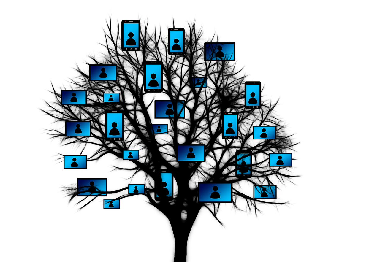 青海省招聘網(wǎng)最新招聘信息概覽及動態(tài)更新通知