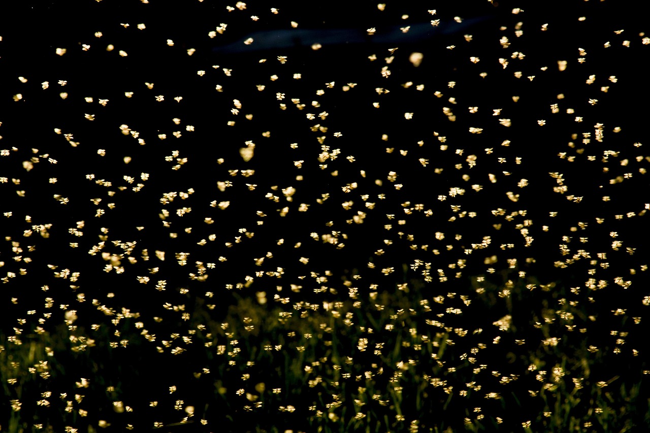 巢湖南路南延最新動(dòng)態(tài)，建設(shè)進(jìn)展及未來(lái)展望