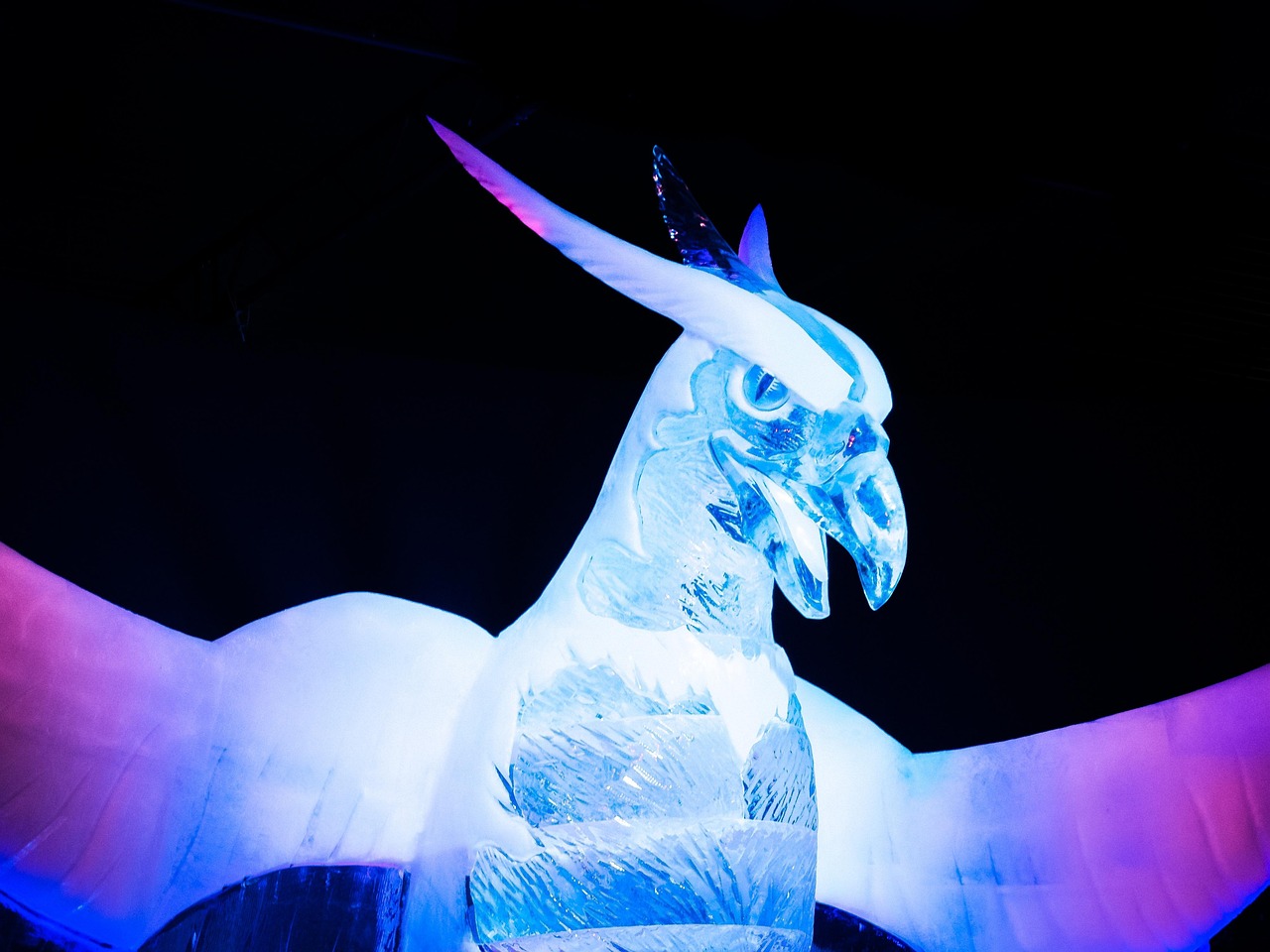 內(nèi)蒙古王東偉最新動態(tài)，揭開神秘面紗，展現(xiàn)新時代風(fēng)采