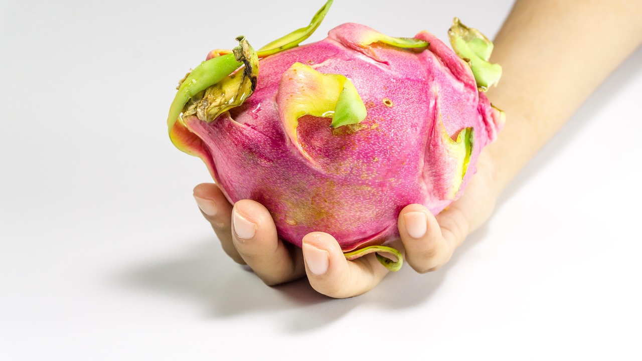 YY主播小白龍最新動態(tài)，探索成長與變化的軌跡