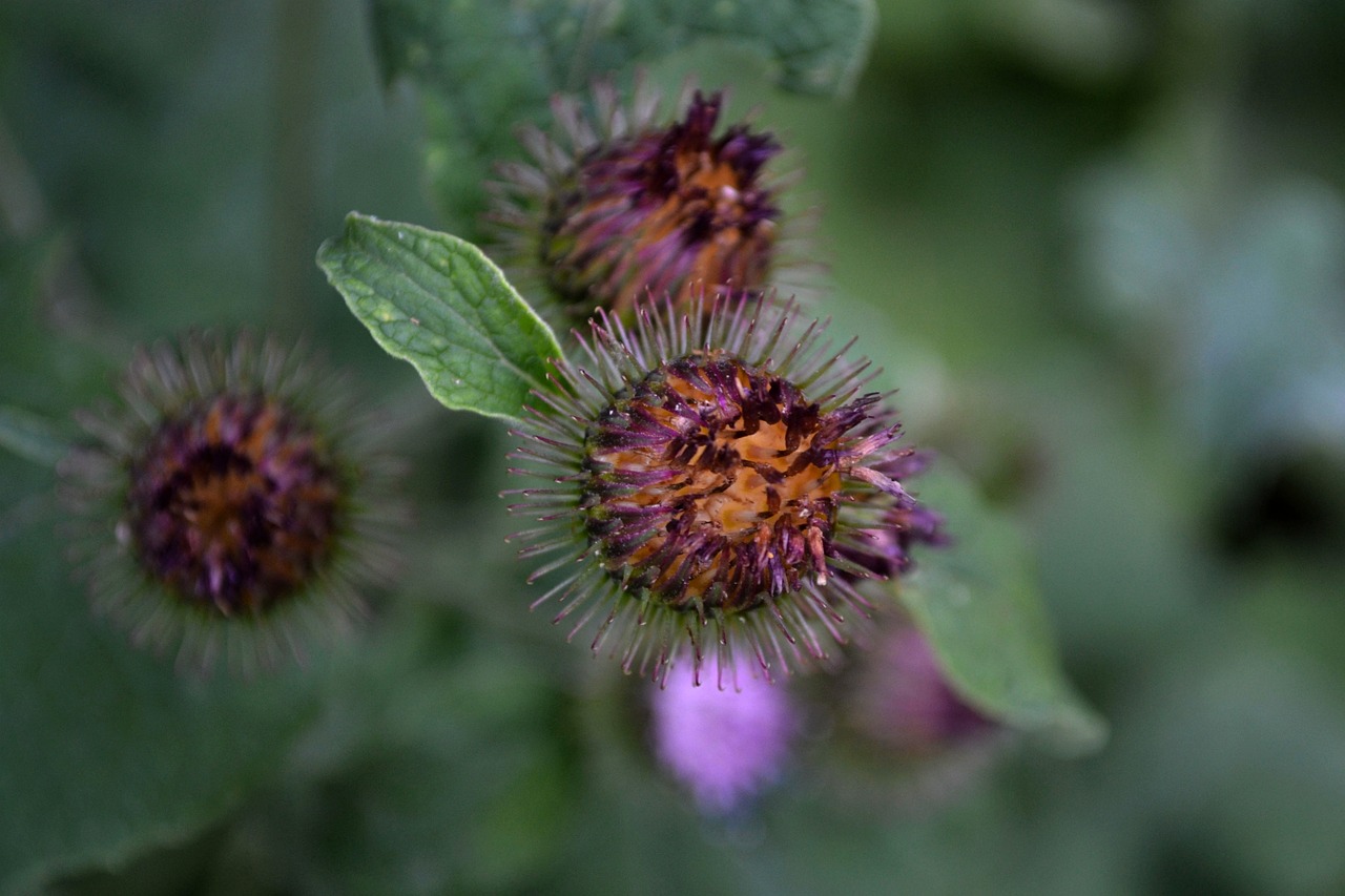 蕪湖市三山區(qū)最新招聘信息概覽，最新職位與招聘動(dòng)態(tài)全解析