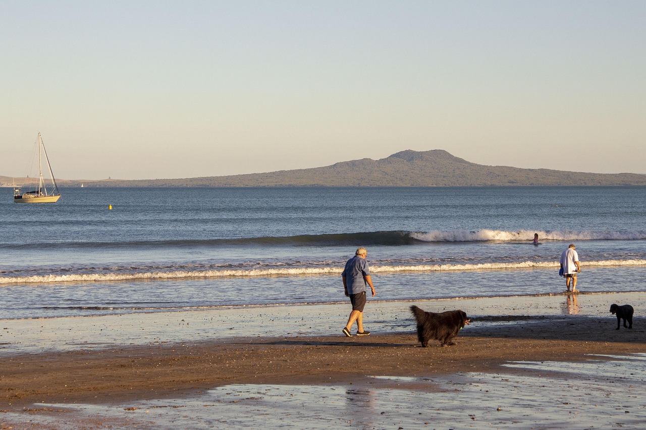 山西退休職工養(yǎng)老金調(diào)整最新動態(tài)，改革進(jìn)展、未來展望與調(diào)整消息速遞