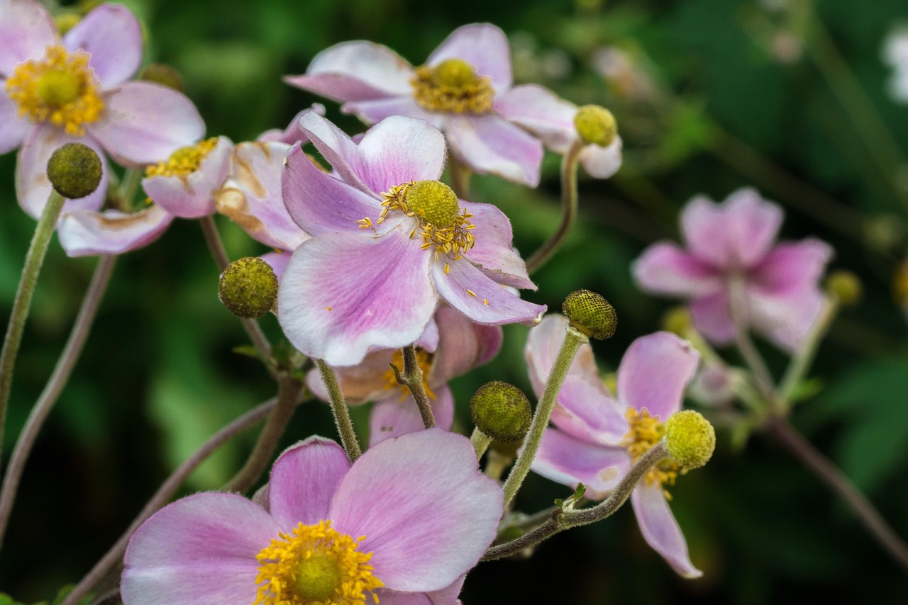 馬刺最新動(dòng)態(tài)，持續(xù)進(jìn)化，蓄勢(shì)待發(fā)啟航新征程