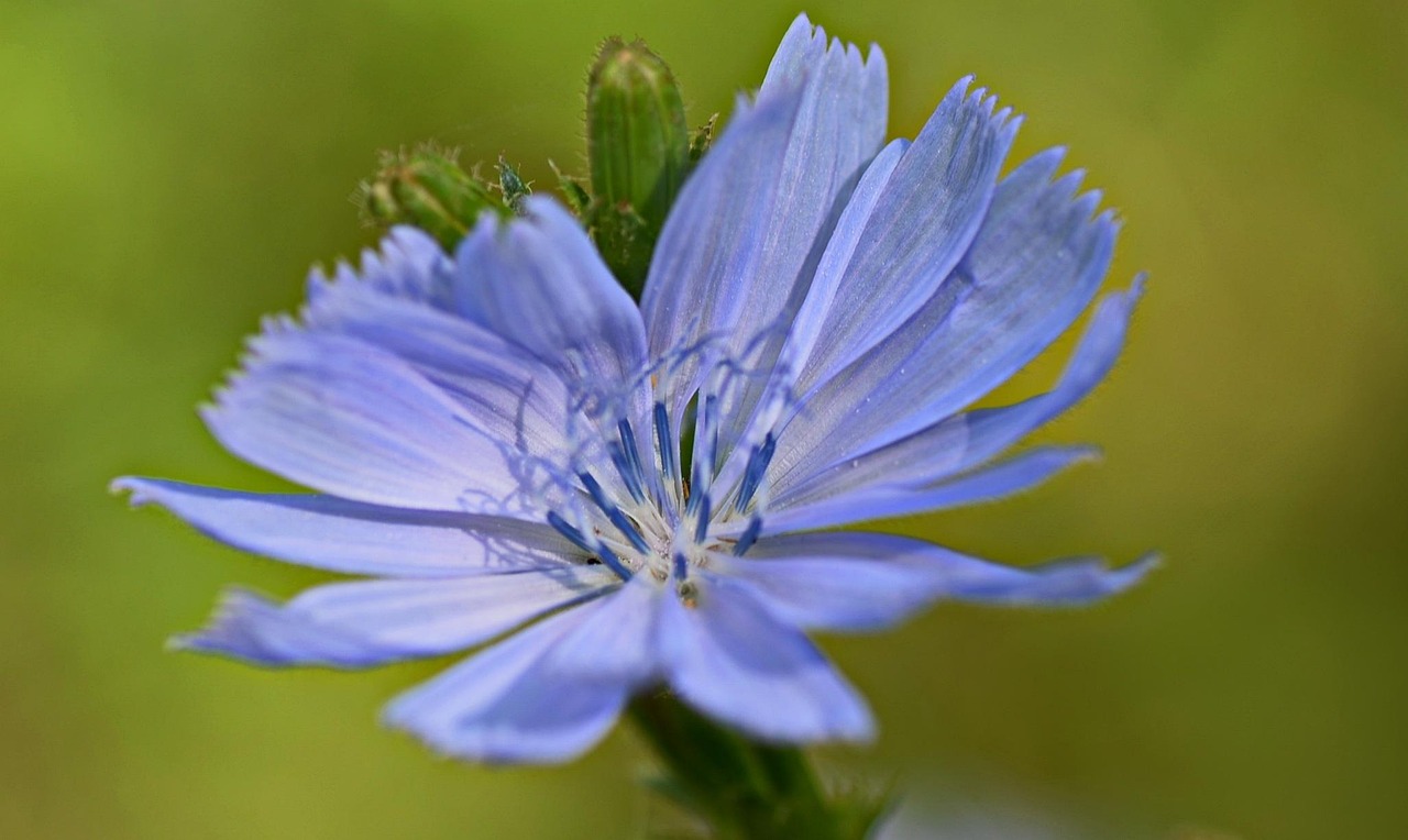 應(yīng)用案例 第32頁