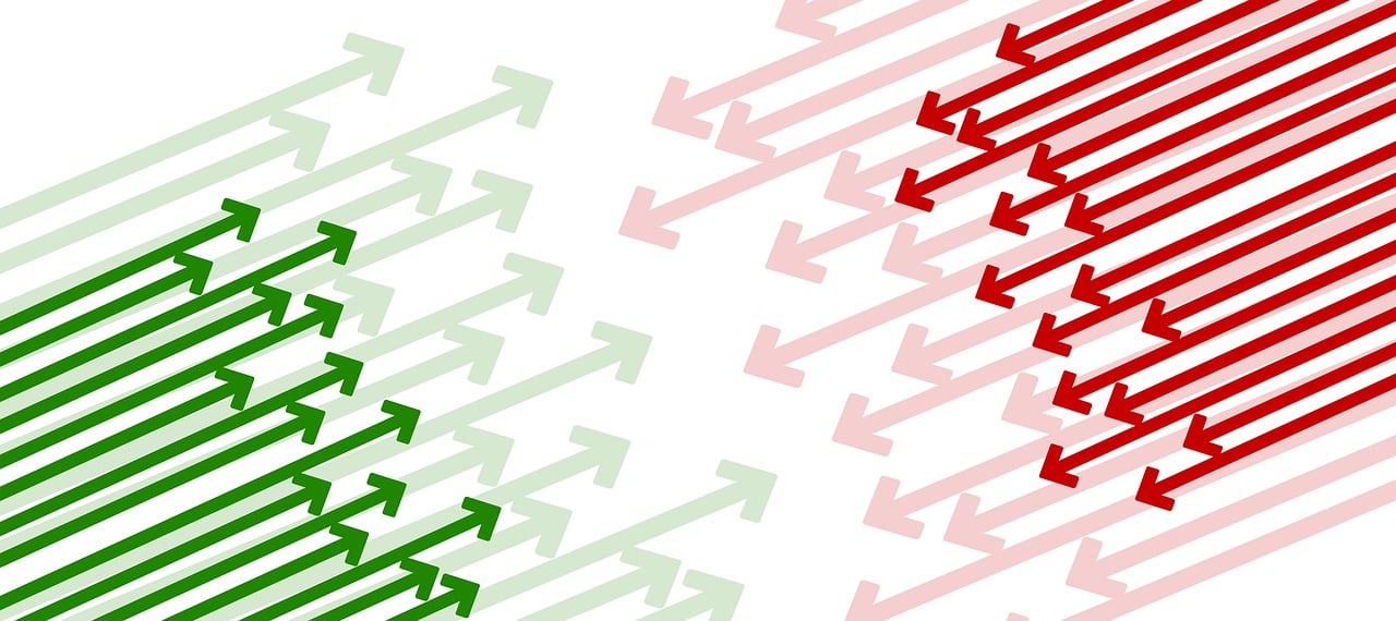 花刺代理最新趨勢(shì)及其影響概覽