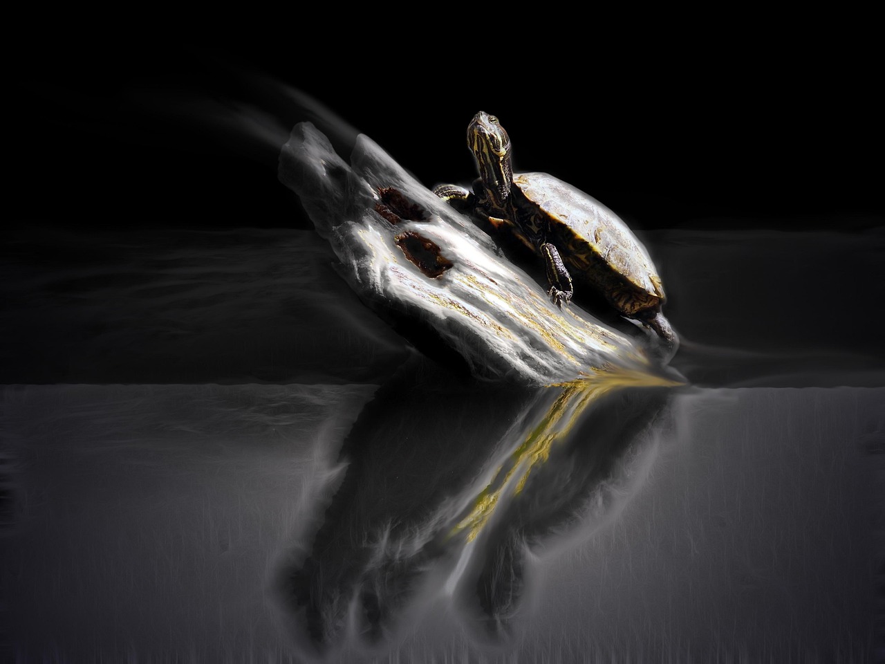 最新國產(chǎn)鬼片，恐怖與神秘的邊緣探索