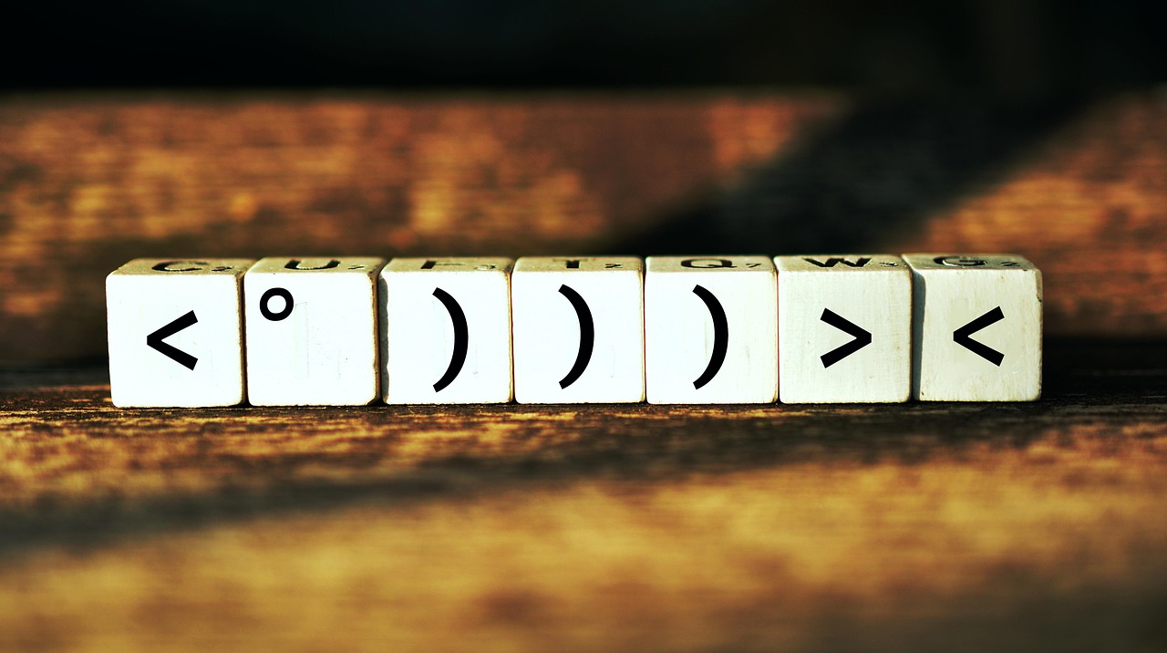 揭秘武警最新肩章，榮譽與職責的象征標志