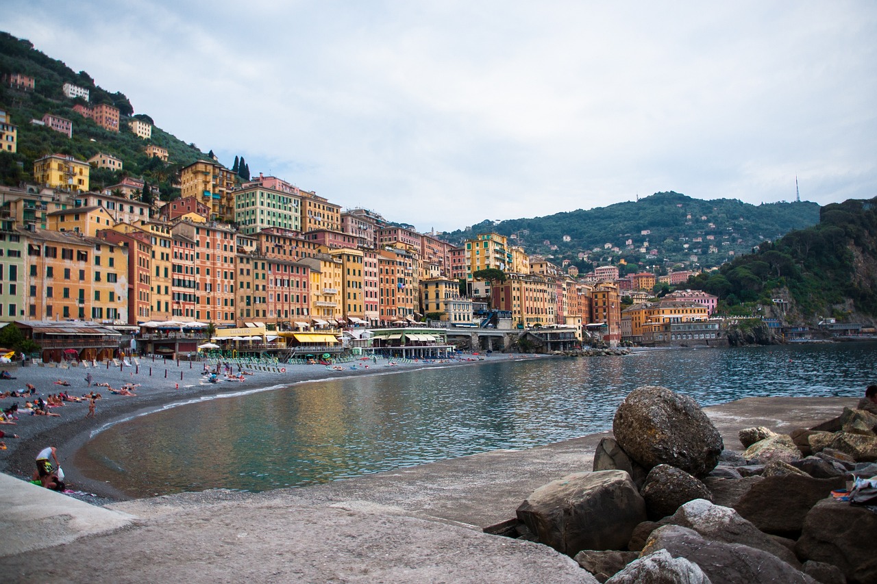 最新魚(yú)粉價(jià)格及動(dòng)態(tài)分析概覽